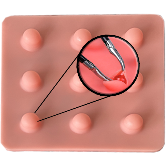 N3 - MÓDULO DE REMOÇÃO DE TUMORESE SUTURAS