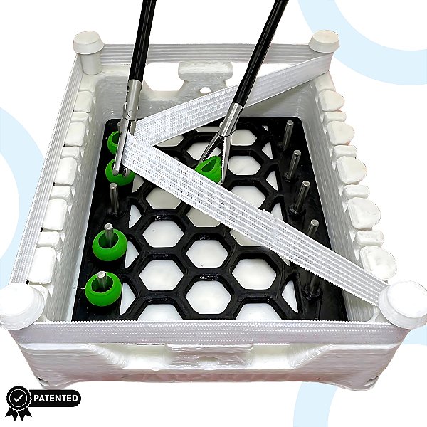 R2 - Treinamento Simulador VideoLaparoscopia