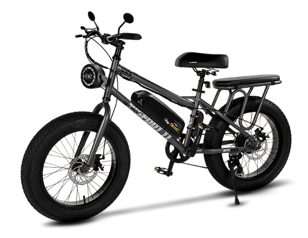 Bicicleta Elétrica Scoote Big Foot T1 Twoo Dogs 750w 48v Aro 20 c/ Alarme e 2 Lugares