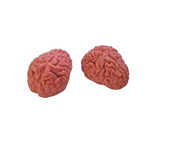 Kit 2 mini cérebros em borracha de silicone