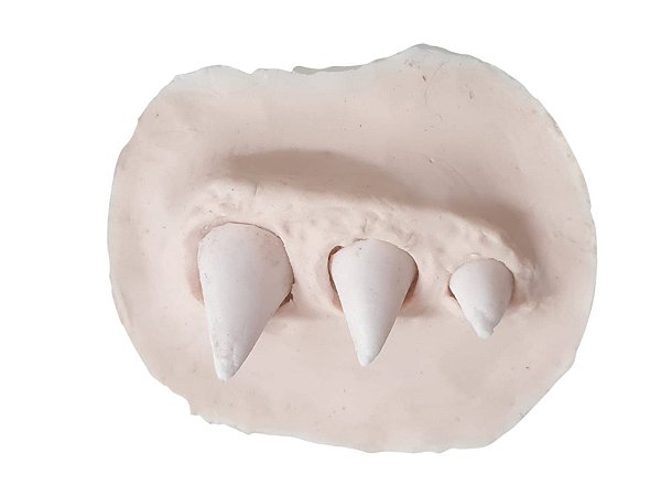 Prótese simulando dentes em borracha de silicone - Fantasia