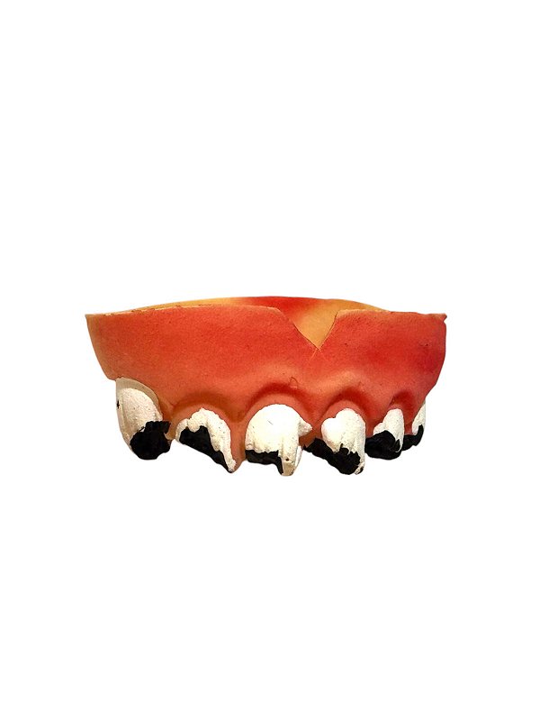Fantasia dentadura de dente Cariado de Látex engraçado