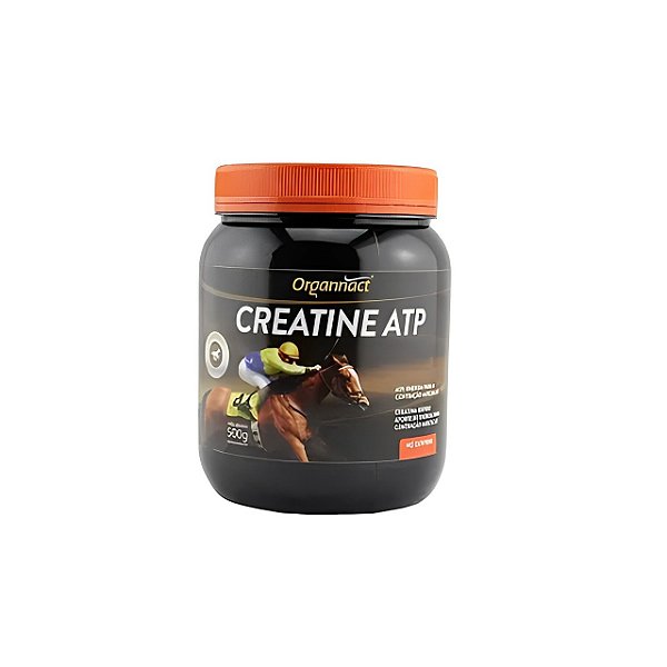 Creatine ATP 1 kg - Organnact