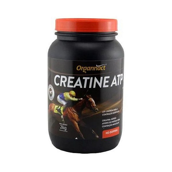Creatine ATP 2 kg - Organnact