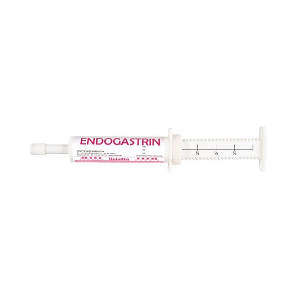 Endogastrin Pasta 40 Gr - Univittá