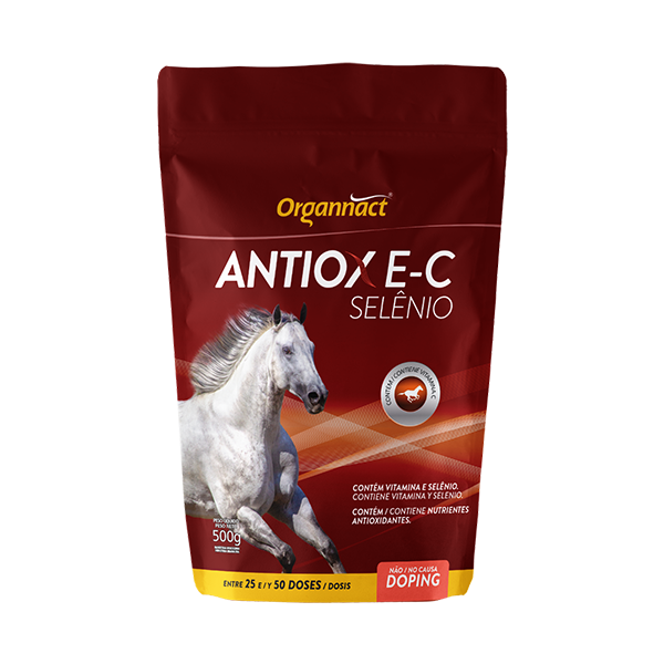 Antiox E-C Selênio 500g - Organnact