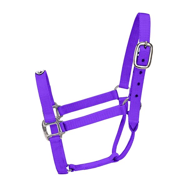 Cabresto Tamanho Médio Roxo - Boots Horse