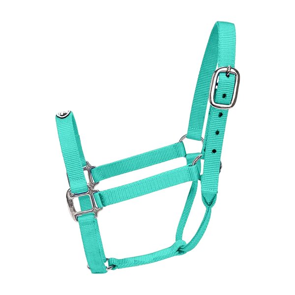 Cabresto Tamanho Médio Verde Água - Boots Horse