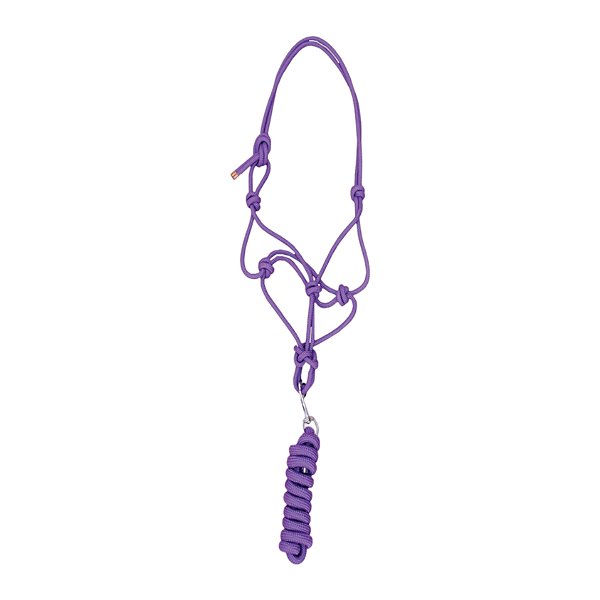 Cabresto Com Cabo Para Cavalo Roxo - Boots Horse