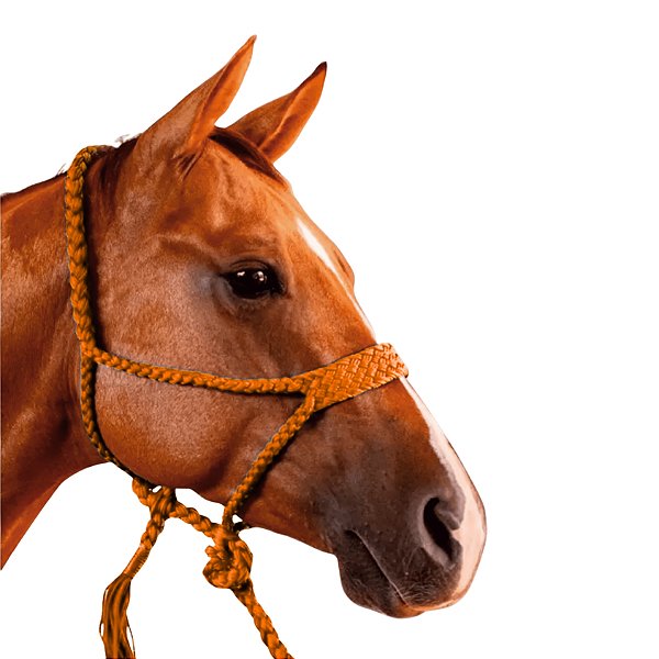 Cabresto Com Cabo Trançado de Paracord Laranja - Boots Horse