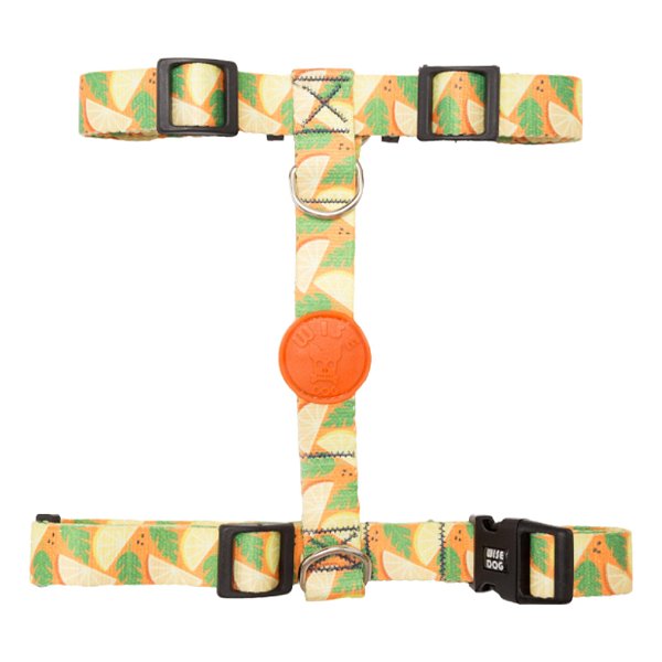 Coleira Peitoral H Com Guia Tamanho M Laranja Com Estampa - Wise Dog