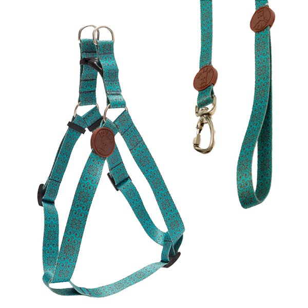 Coleira Peitoral Americano + Guia Tamanho P Verde Água Com Estampa - Wise Dog