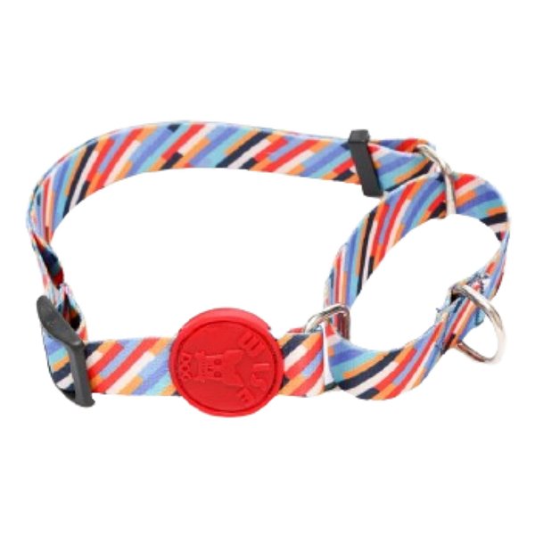 Coleira Anti Puxão Tamanho M Listras Coloridas - Wise Dog