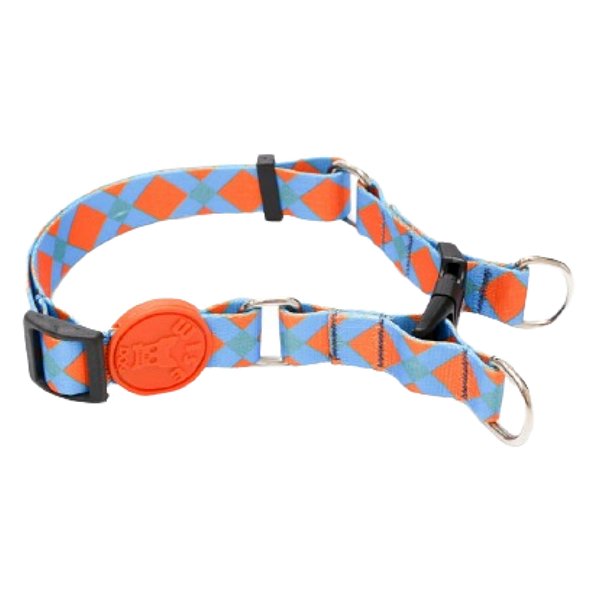 Coleira De Segurança Tamanho P Azul Com Laranja - Wise Dog