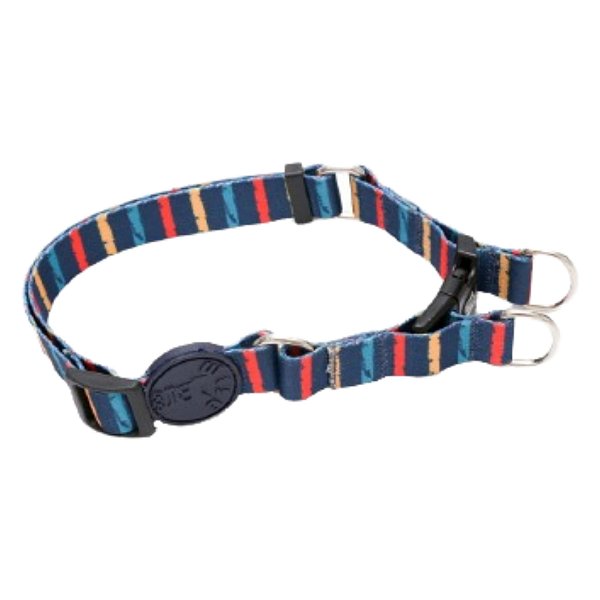 Coleira De Segurança Tamanho G Listras Coloridas - Wise Dog