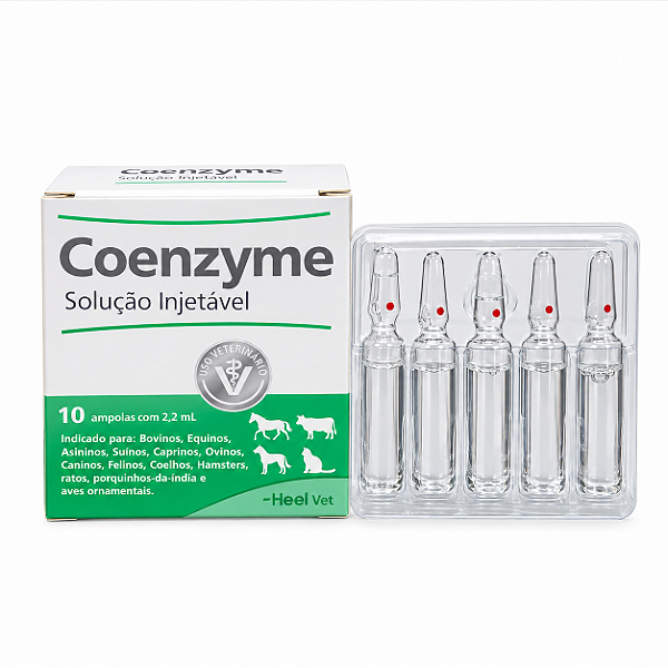 Coenzyme Injetável 10 Ampolas Com 2,2 mL - Heel Vet