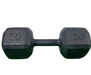Dumbbell Sextavado Pintado 30kg
