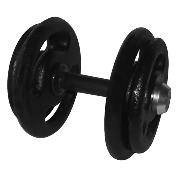 Dumbbell Pintado Pegada Emborrachada 18kg