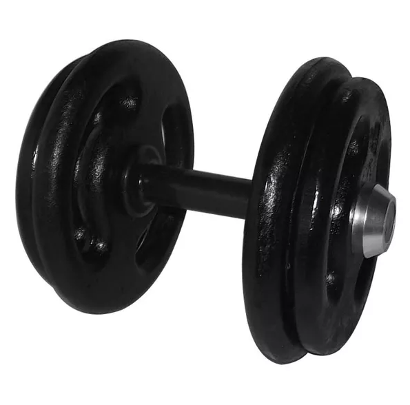 Dumbbell Pintado Pegada Emborrachada 20kg