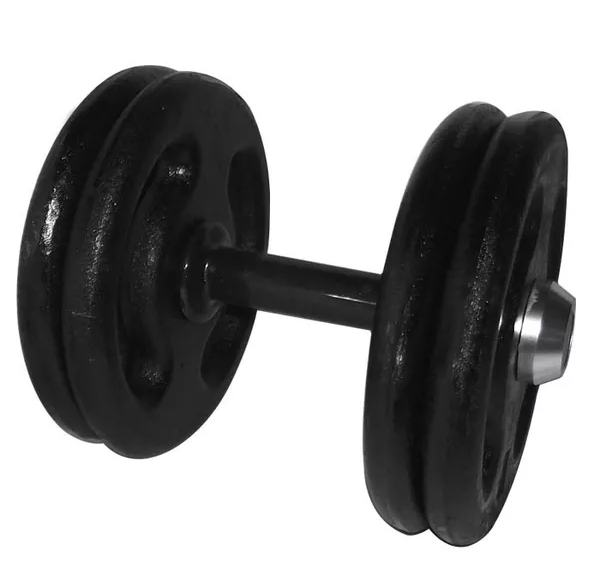 Dumbbell Pintado Pegada Emborrachada 22kg