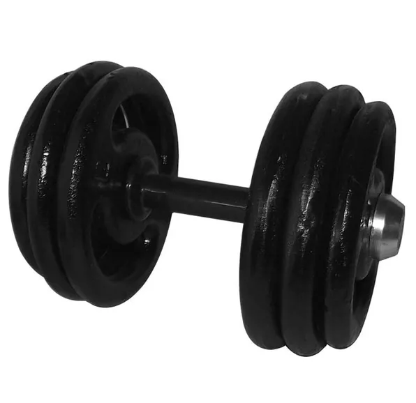 Dumbbell Pintado Pegada Emborrachada 32kg