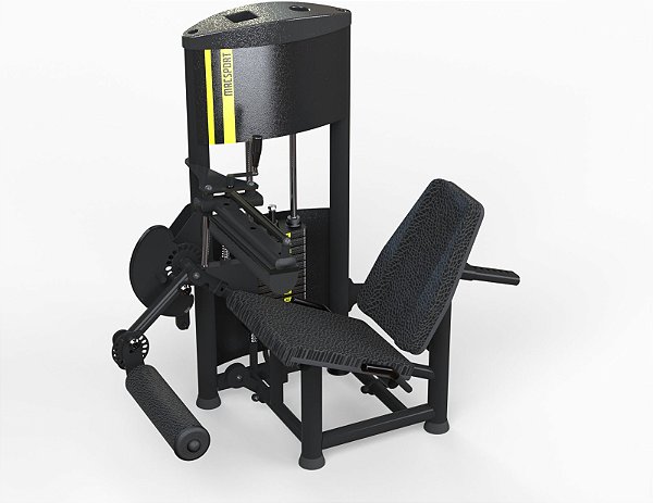 Cadeira Flexo Extensora Sigma 60kg