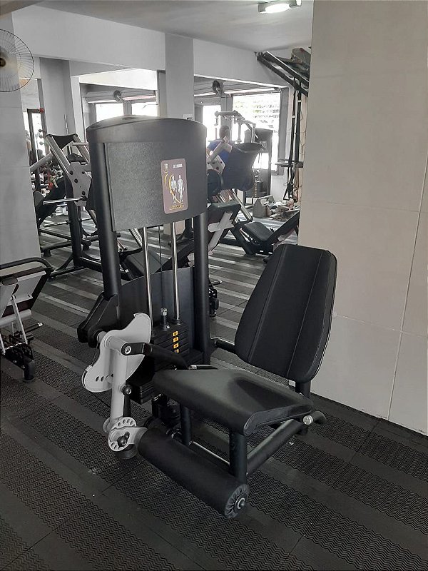 Cadeira Extensora Sigma 60kg
