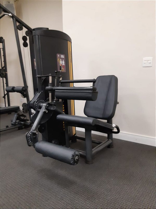 Cadeira Flexora Uranos 80kg