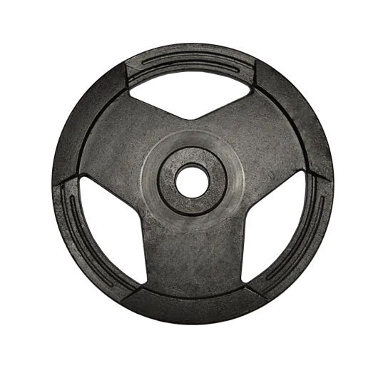 Anilha Sport Pintada 10kg