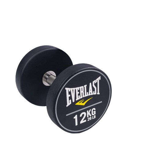 Dumbbell Everlast 12kg