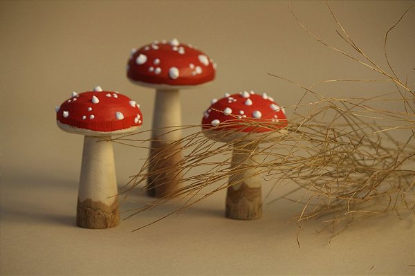 3 Cogumelos de Madeira Coloridos