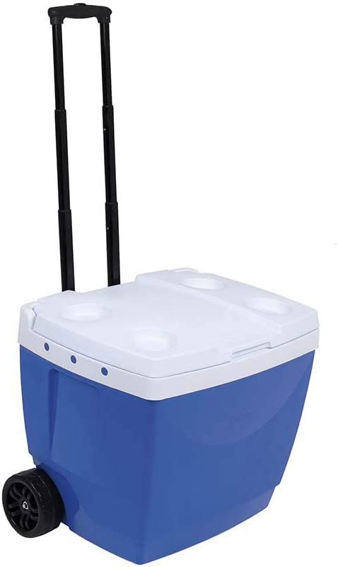 Caixa Térmica 42L