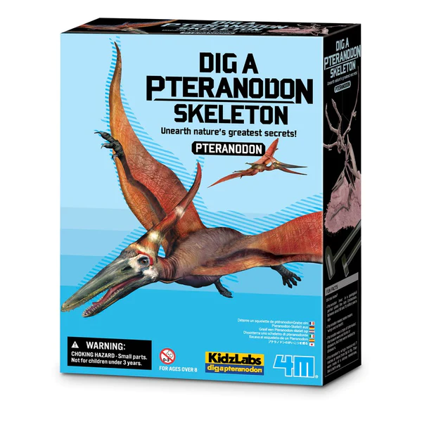 Kit de Escavação de Esqueleto - Pteranodonte