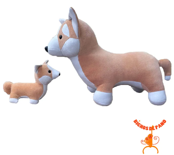 Corgi Grávida com 1 Filhote