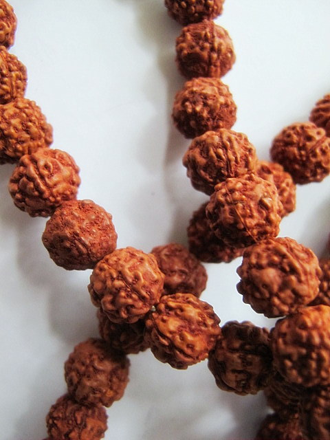 Japamala de Rudraksha Semente Original com 108 Contas