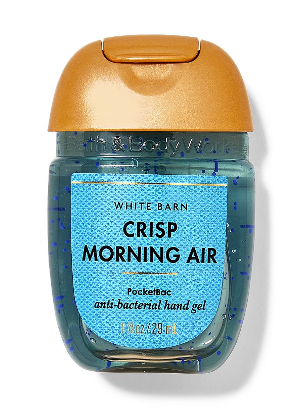 Álcool Em Gel Bath & Body Works Crisp Morning Air 29ml