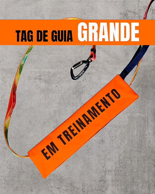 Tag de Guia GRANDE - "Em treinamento" (laranja)