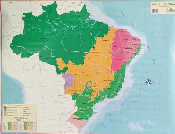 MAPA PERIODICO BRASIL BIOMAS LAMINADO REF.: 4039 - MULTIMAPAS