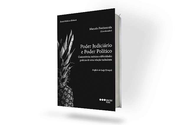 Poder Judiciário e Poder Político