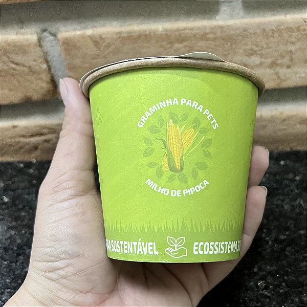 Graminha Para Pets