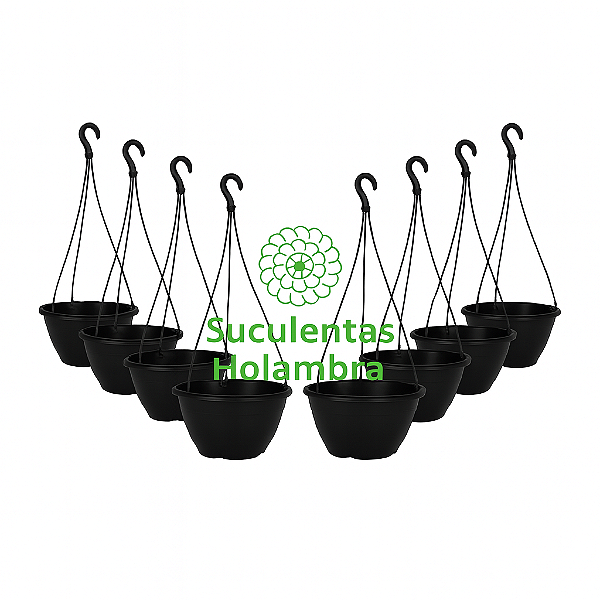 Kit 50 Vasos Cuia 21 Com haste 43 cm - REFORÇADO Cor Preta - Ideal p/ Rosa do Deserto, Samambaia, Suculentas e Cactos