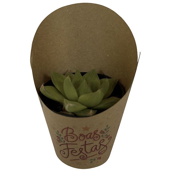 Rótulo Para Suculentas E Cactos Pote 6 Modelo Boas Festas