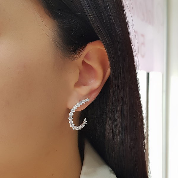 Brinco Anzol Prata 925 Zircônia