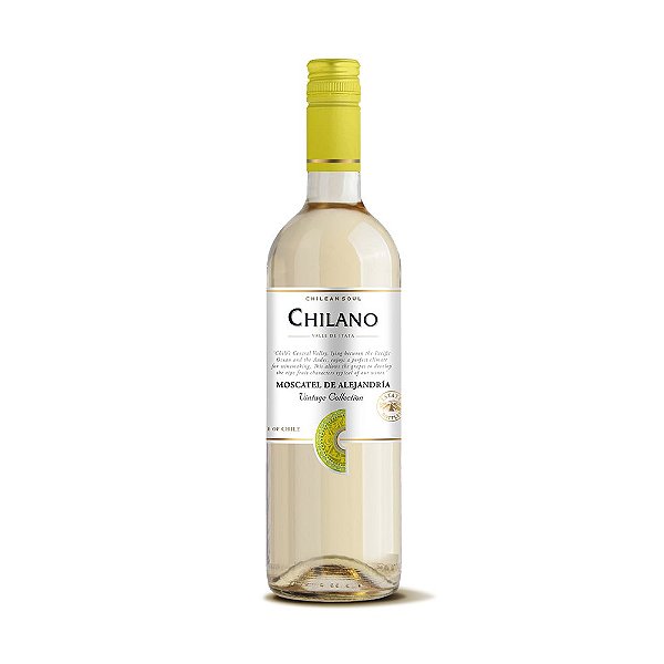 Vinho Branco Chilano Moscato