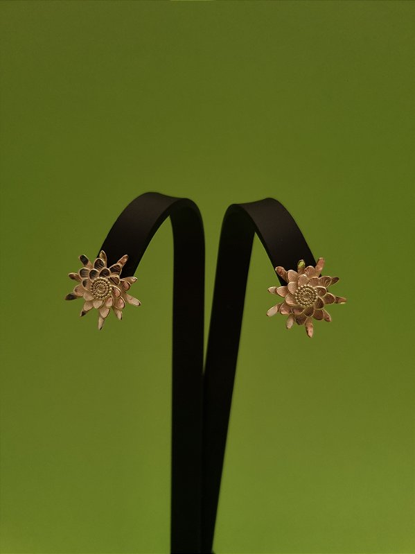 Flor de Mandacaru