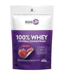 Synthe Size Up Whey 100% 480G