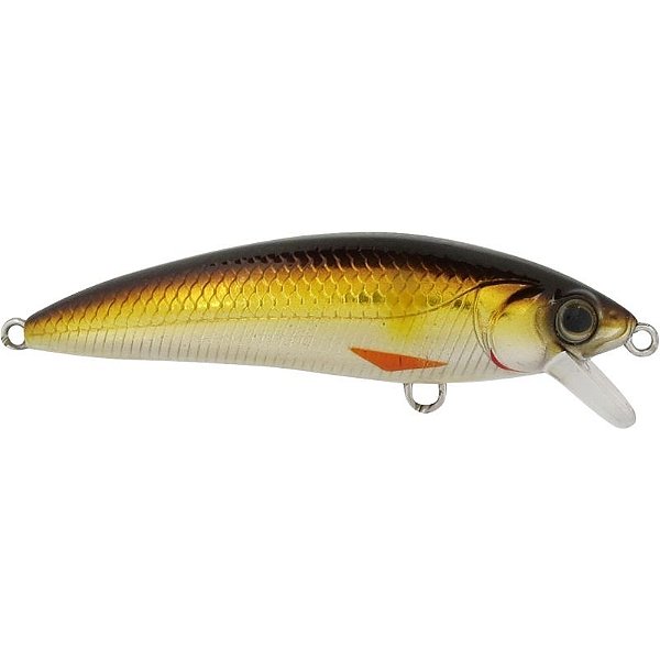 Isca Artificial Marine Sports Inna Pro Tuned 60 Cor 34