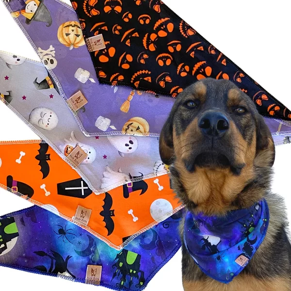 Bandana de Pet Personalizada - Tamanho Único