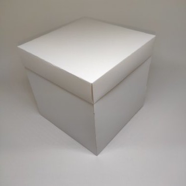 10un. Caixa Cubo Gd - Branco