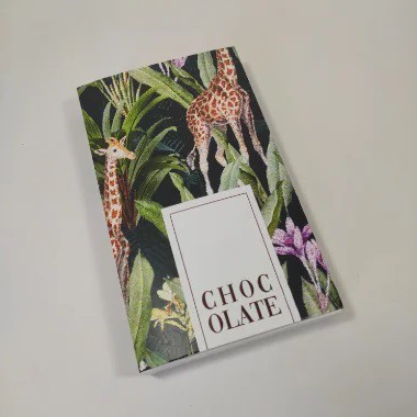 10un. Caixa 01 Barra Chocolate 100g - Girafa